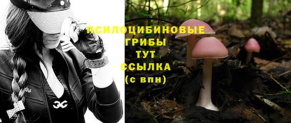 метадон Абдулино