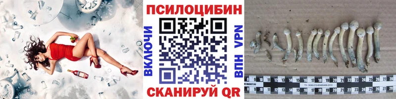 Псилоцибиновые грибы прущие грибы  Шали 