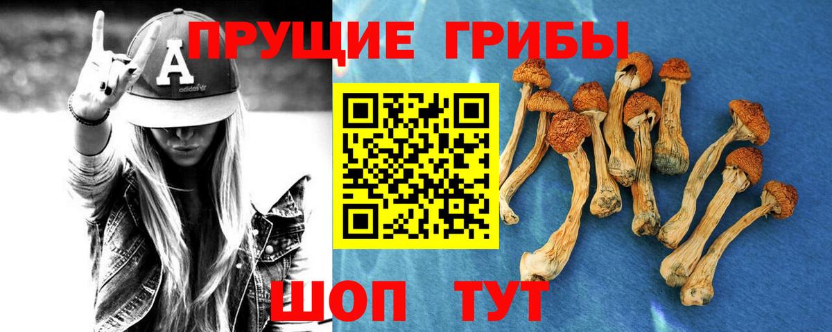 Псилоцибиновые грибы прущие грибы Шали