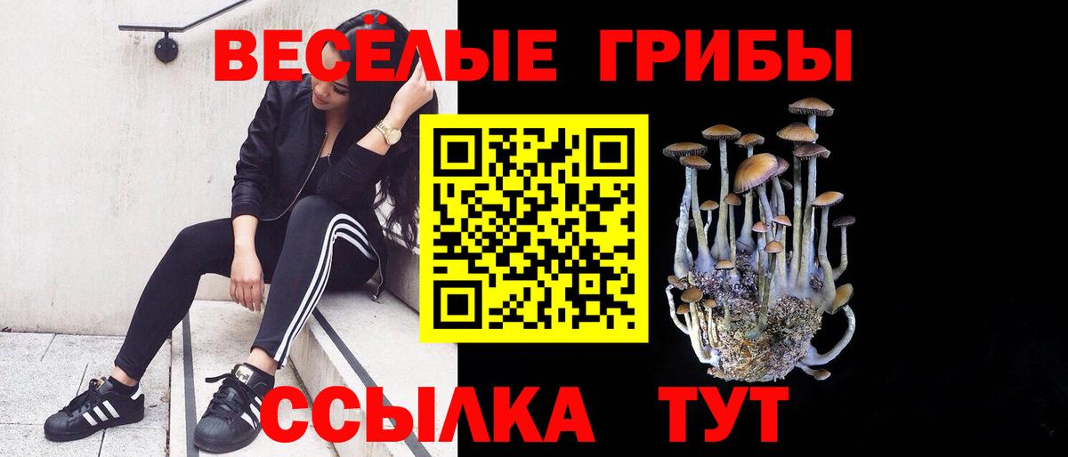 Галлюциногенные грибы мицелий  Вход с VPN  Шали 