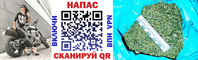 где продают наркотики  Шали  Марихуана марихуана 